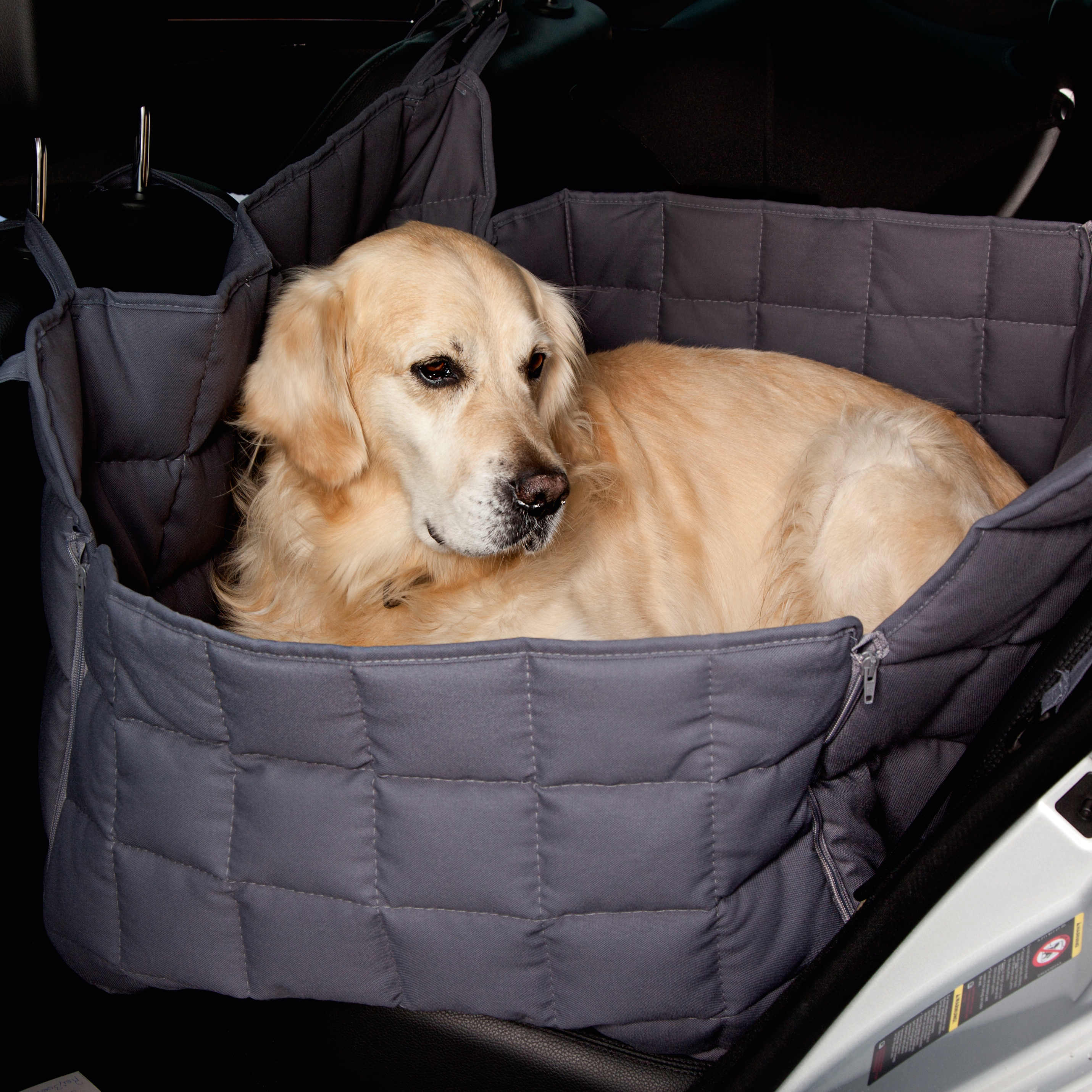 Doctor Bark: Betten und Decken für den Hund