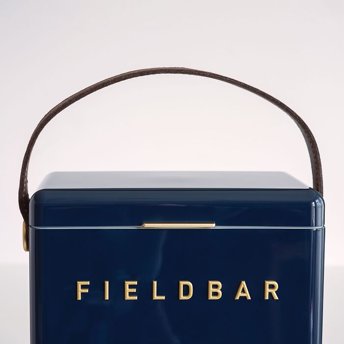 Fieldbar Kühlbox Seaboat Blue
