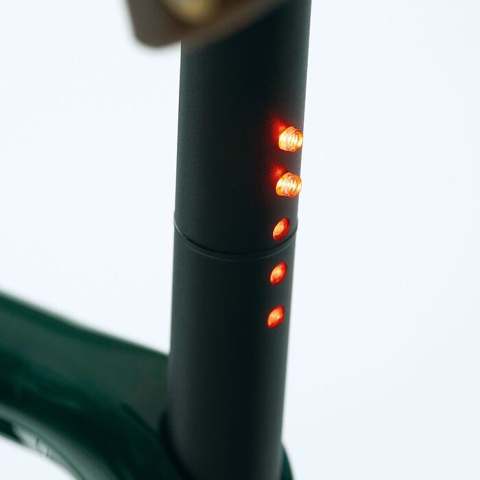 B-WARE - Urwahn X Torquato E-Bike Platzhirsch Racinggreen M